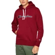 Champion Large Embroidered Logo F21 kapucnis pulóver DOX