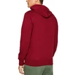 Champion Large Embroidered Logo F21 kapucnis pulóver DOX