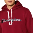 Champion Large Embroidered Logo F21 kapucnis pulóver DOX