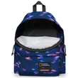 Eastpak X National Geographic Padded Pak R hátizsák Fish