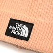 The North Face Logo Box Cuff Regular téli sapka Apricot Ice