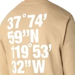 The North Face Coordinates Crew pulóver Khaki Stone