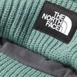 The North Face Salty Lined téli sapka Dark Sage Regular