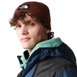 The North Face Logo Box Cuff téli sapka dark oak regular