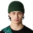 The North Face Fisherman téli sapka Pine Needle