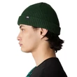 The North Face Fisherman téli sapka Pine Needle