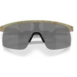 Oakley Resistor gyerek napszemüveg Fern Terrazzo Prizm Black