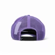 Vans Classic Patch Curved Bill Trucker sapka Purple Haze